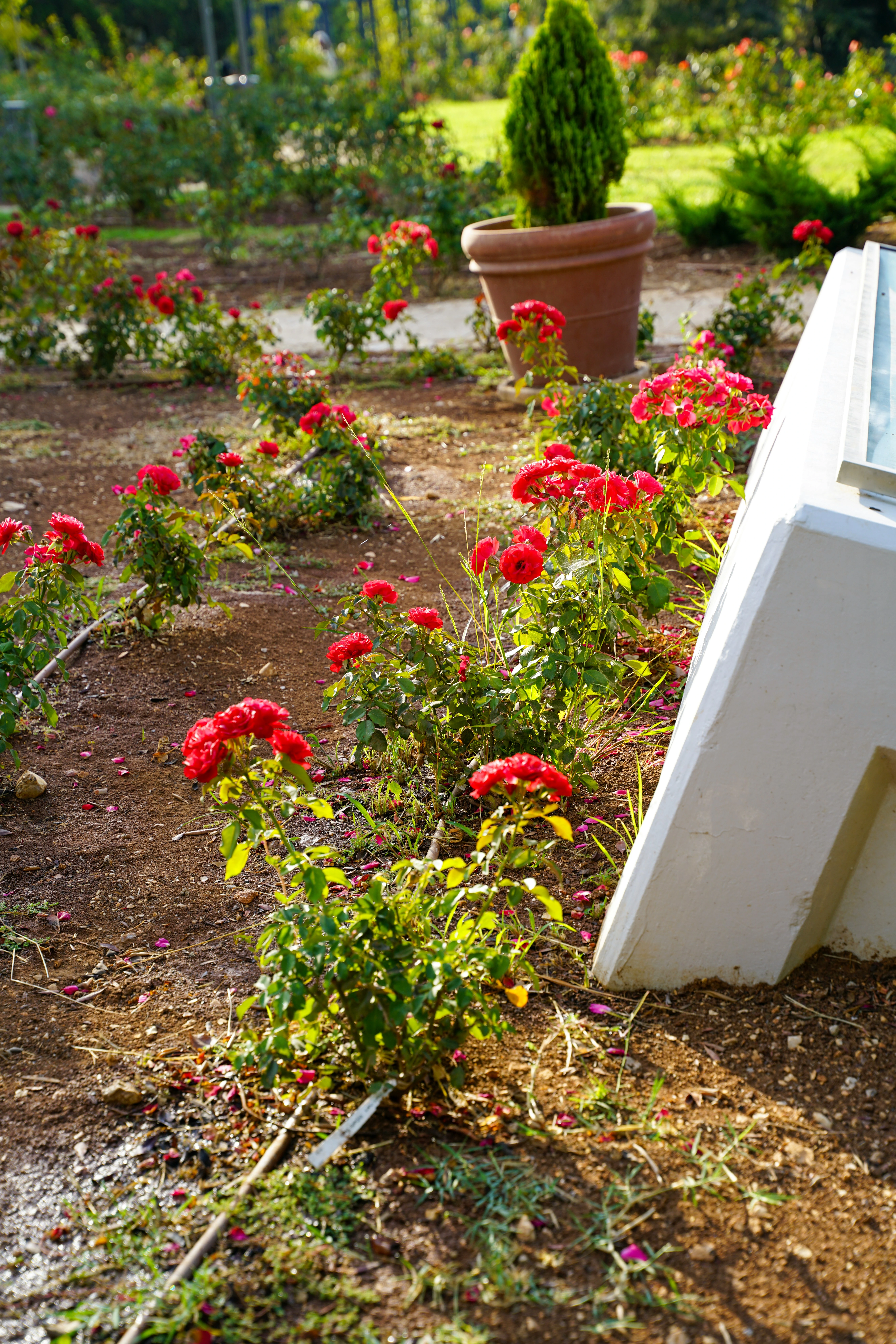 Urejanje vrtov in okolice